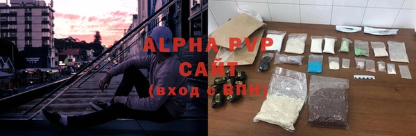 эйфоретик Новокубанск