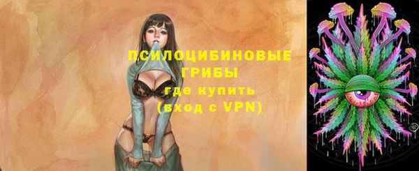 COCAINE Няндома