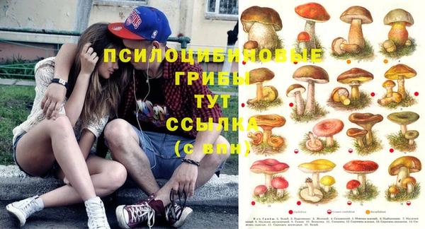 бутират Новодвинск