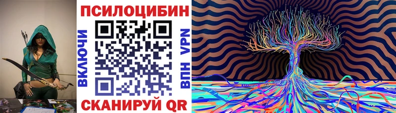 Псилоцибиновые грибы мицелий  Купить закладки  Липецк 